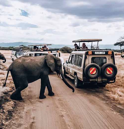 Tanzania Safari - By Road