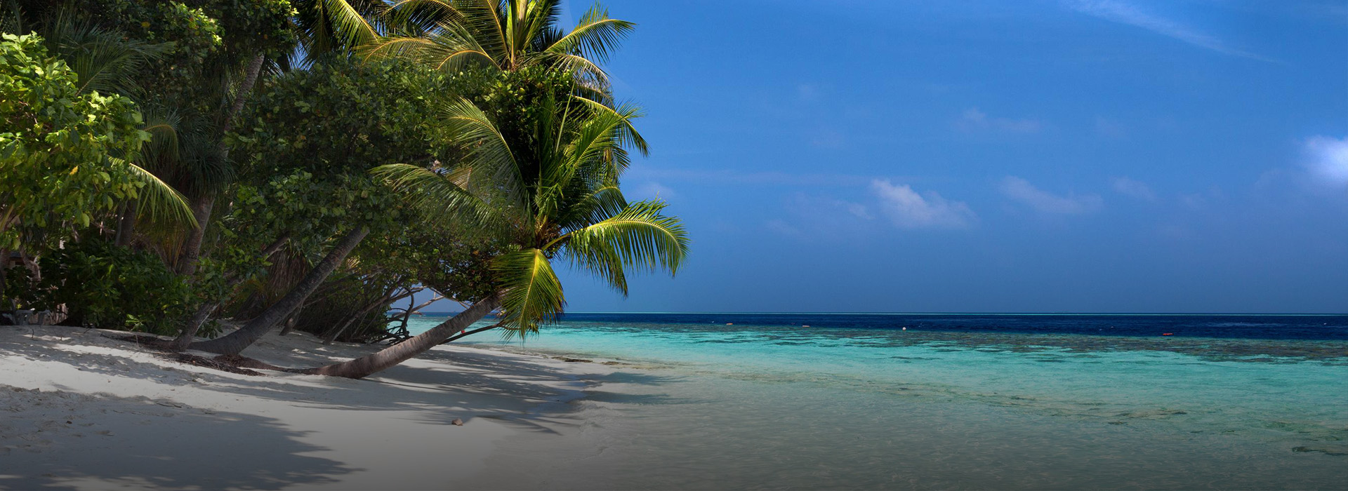 4 Nights 5 Days Getaway to Maldives At vilamendhoo Island Resort and Spa